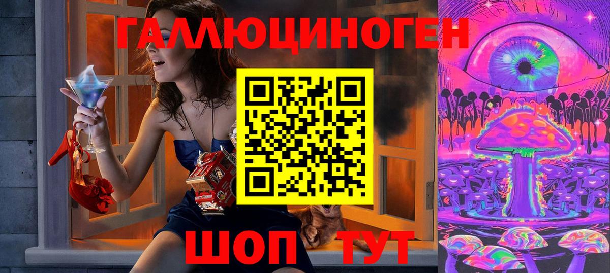 Галлюциногенные грибы Psilocybe Лысьва